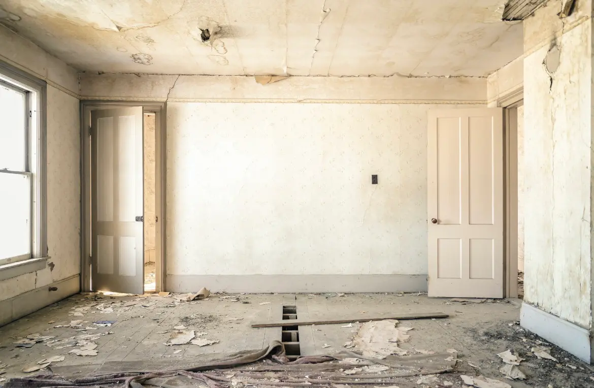 Waste disposal crew managing a cleanout project in Holt